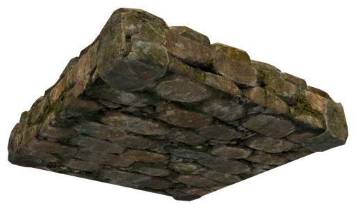 A slab of Shell Limestone Block seen from below