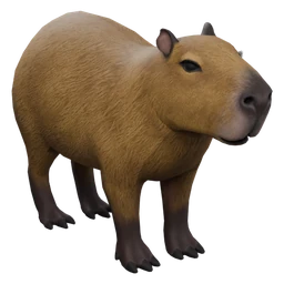 Capybara