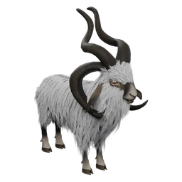 Frizzy Goat