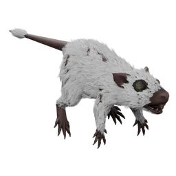 Rat