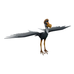 Round-Billed Sailer