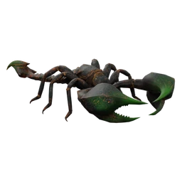 Venomous Scorpion