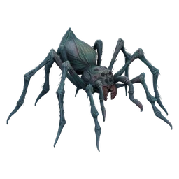 Spider
