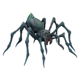 Spitting Spider