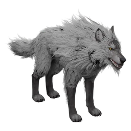 Wolf