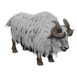 Yak