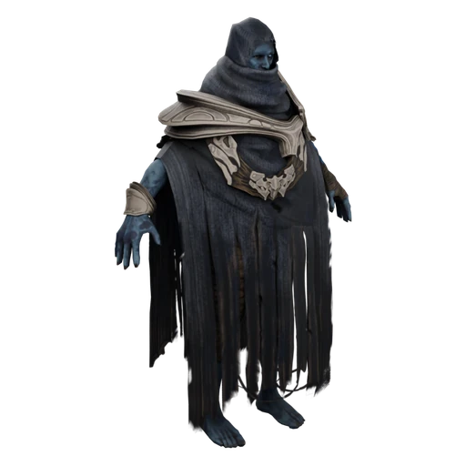 Mysterious Wanderer