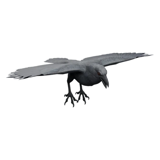 Raven