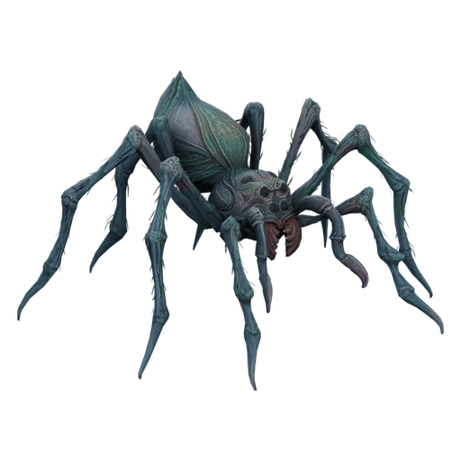 Spider