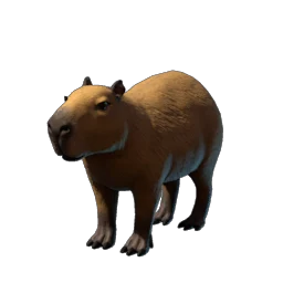 Capybara Capybara