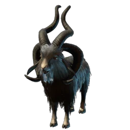 Frizzy Goat Frizzy Goat