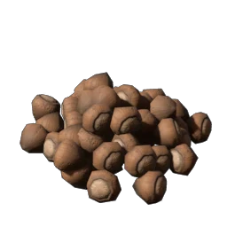 Hazelnut Hazelnut