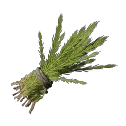 Rooibos Rooibos
